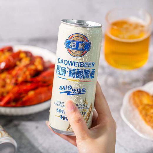 稻威精酿啤酒 24罐装【慢工精酿】清新沙爽 顺滑质感 鲜透麦香 回味甘甜 泡沫细腻 易拉罐啤酒 商品图4