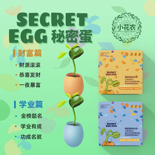 小花农种植小盆栽秘密蛋创意桌面摆件趣味励志祝福语盆栽盲盒 商品图2