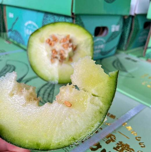 【牛3网纹瓜】星鲜园 牛3网纹瓜，甜度高的软瓤瓜，越软越好吃，水分越足！ 商品图8