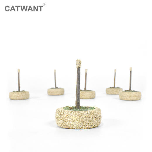 猫咪旺 木天蓼虫瘿果猫薄荷生日蛋糕 商品图1