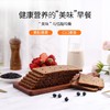 德国进口捷森黑麦面包500g 商品缩略图1