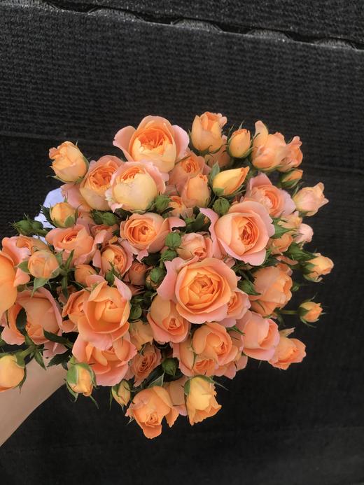 多头玫瑰果汁阳台 商品图2