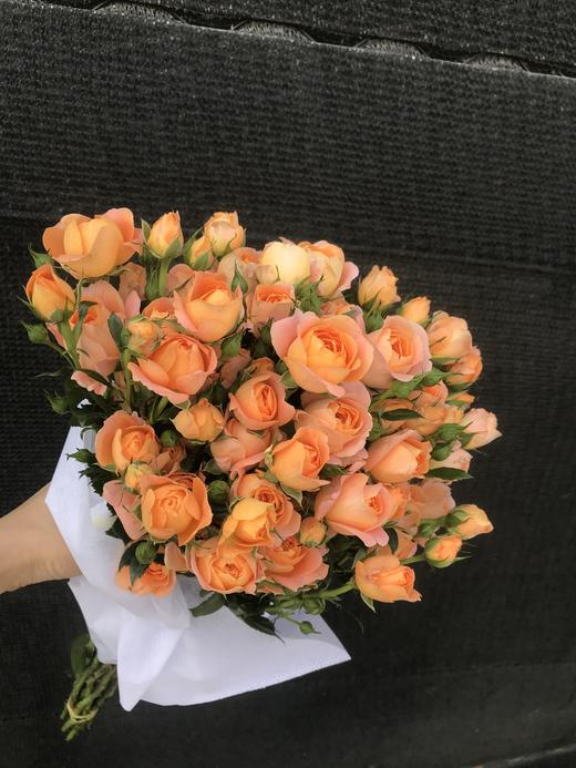 多头玫瑰果汁阳台 商品图3