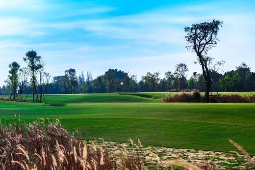 泰国曼谷暹罗乡村 Siam country club bangkok 商品图2