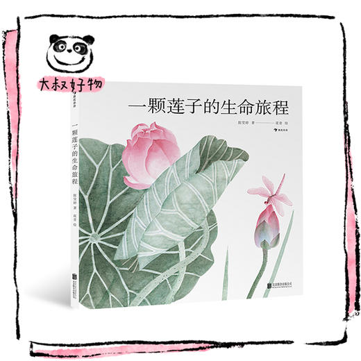 一颗莲子的生命旅程 中科院植物学科普达人创作以国画绘出莲的生命轮回国风情怀自然科普绘本 浪花朵朵童书 商品图1
