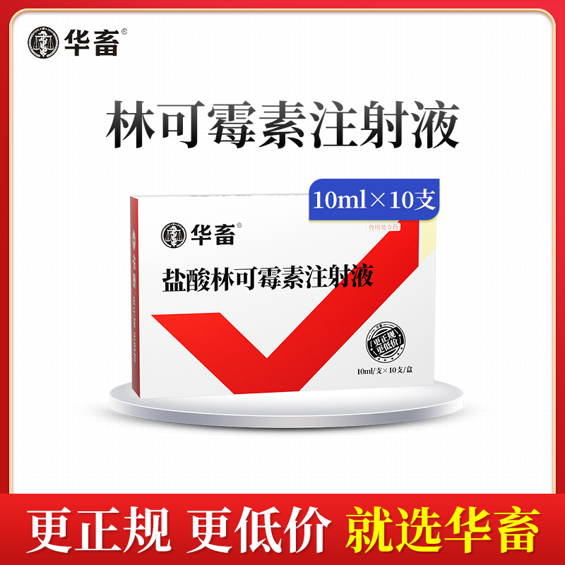 华畜兽用 10%盐酸林可霉素主射液10支