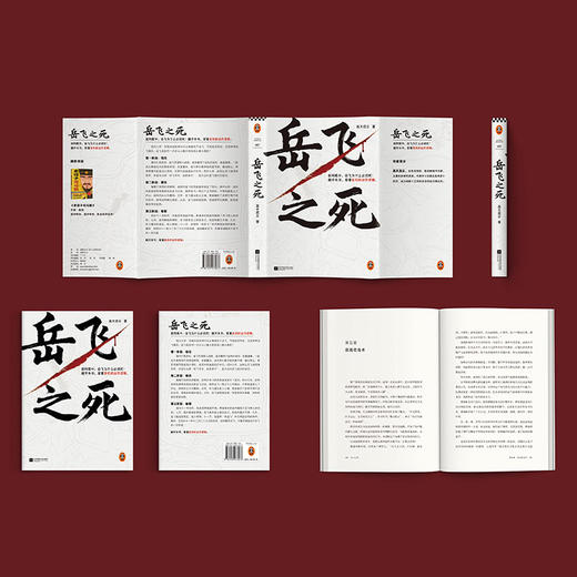 岳飞之死 (读客正版图书）运作逻辑高天流云宋史满江红 商品图6