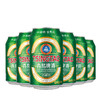 青岛经典啤酒11度330ml*1听/6听/12听/24听 商品缩略图3