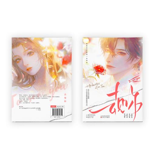 去见你 商品图1