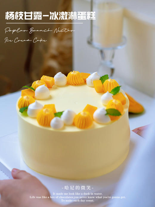 杨枝甘露 - 冰激凌生日蛋糕 商品图0