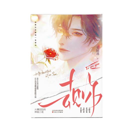 去见你 商品图0