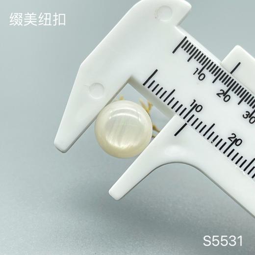 S5531(整包购买) 商品图3