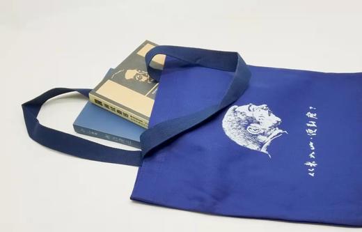 帆布袋：鲁迅语录“从来如此，便对吗？”，规格，340mm*370mm,图案来源：著名版画家刘春杰作品：“勇气”，售价38元。 商品图4