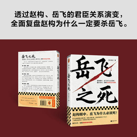 岳飞之死 (读客正版图书）运作逻辑高天流云宋史满江红 商品图4