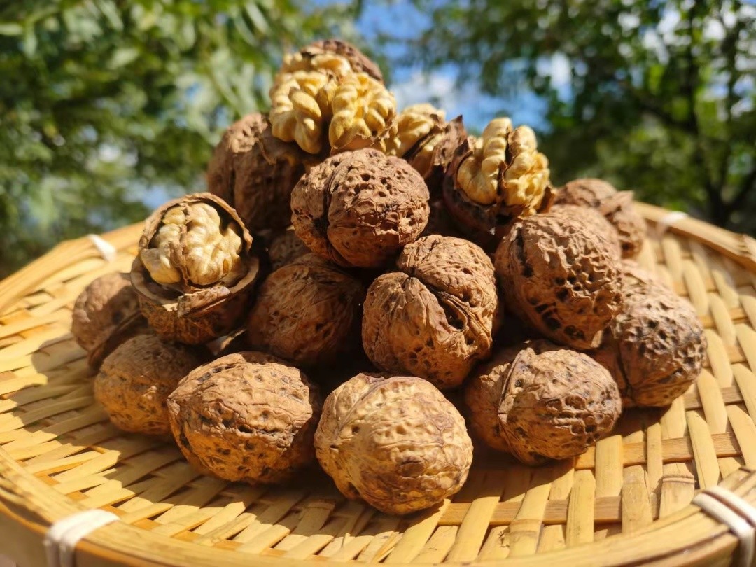 云南老树生态干核桃(3斤/箱，送开壳器)  外仓发货