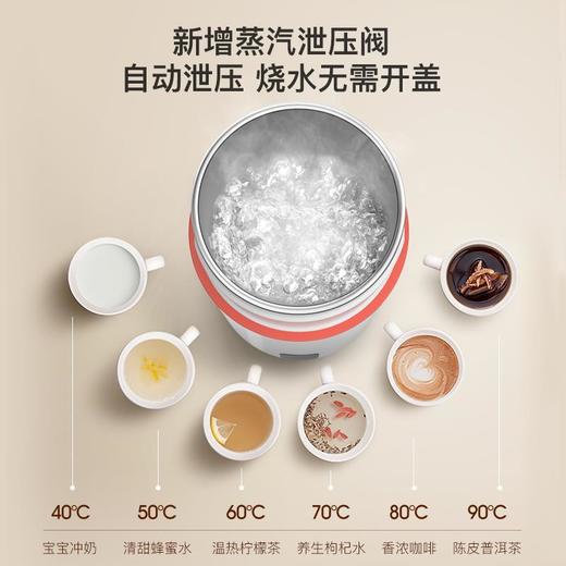 德尔玛电热水杯便携式烧水壶小型旅行家用加热保温烧水杯礼品批发 商品图3