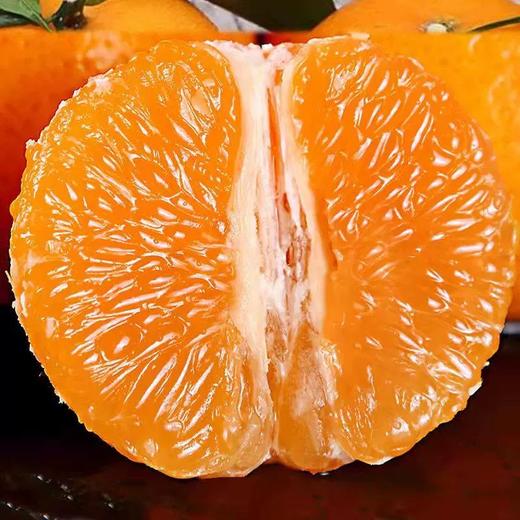 【橙心橙意】精品沃柑2个 约250g 商品图3