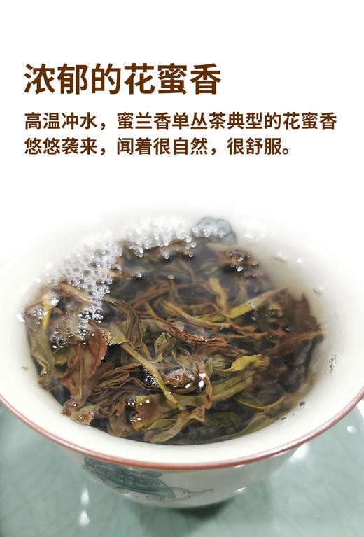 凤凰单枞蜜兰香AAA 6克*12泡 广东凤凰高山 商品图2
