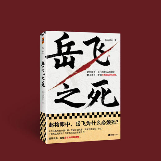 岳飞之死 (读客正版图书）运作逻辑高天流云宋史满江红 商品图10