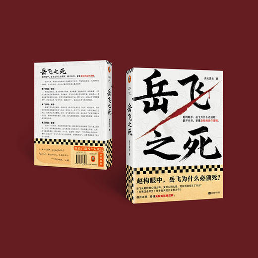 岳飞之死 (读客正版图书）运作逻辑高天流云宋史满江红 商品图8