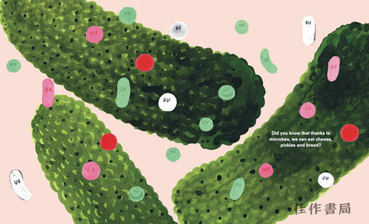 Is There Life on Your Nose?: Meet the Microbes / 你鼻子上有生命吗？：认识微生物 商品图3