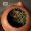 春茶季2023弯弓春分茶大树  100g饼  送花瓣纸袋  紧压茶 商品缩略图5