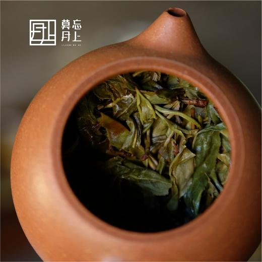 春茶季2023弯弓春分茶大树  100g饼  送花瓣纸袋  紧压茶 商品图5