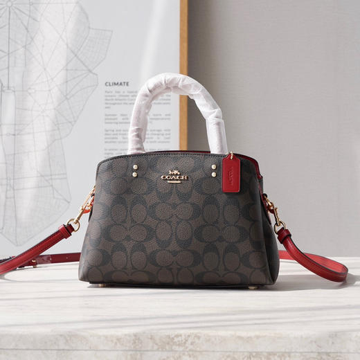 LILLIE戴妃手袋包｜颜色3️⃣ 商品图2