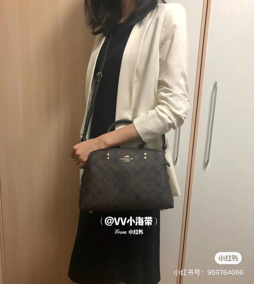 LILLIE戴妃手袋包｜颜色6️⃣ 商品图2