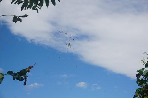 昆虫旅馆建造营 商品图3