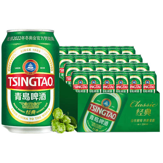 青岛经典啤酒11度330ml*1听/6听/12听/24听 商品图4