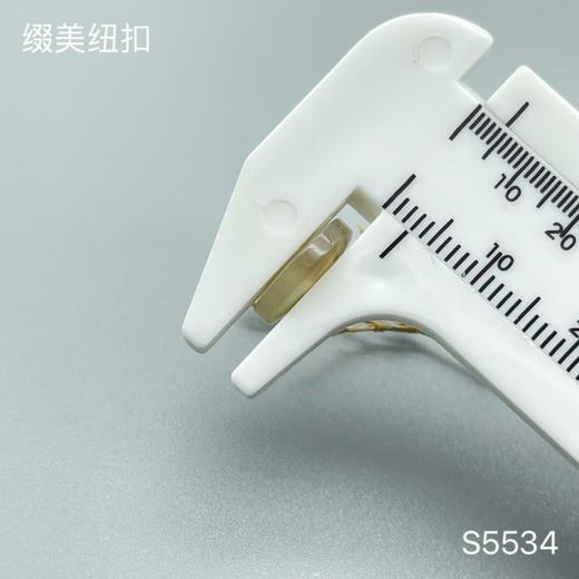 S5534(整包购买) 商品图4