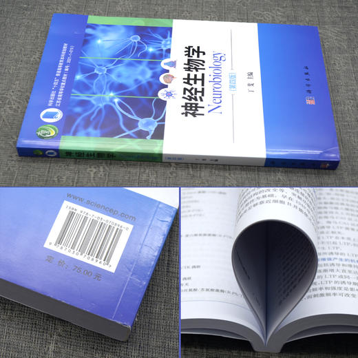 神经生物学 第4四版 丁斐 主编 神经元与神经胶质细胞 神经发育生物学基础 神经化学和神经药理学基础 科学出版社9787030708960 商品图2