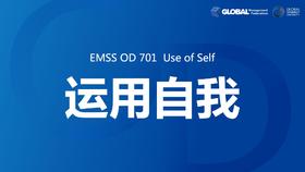 Use of Self 运用自我