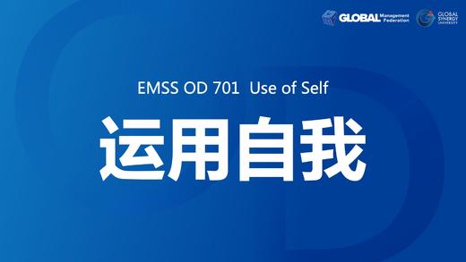 Use of Self 运用自我 商品图0