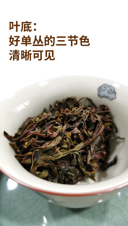 凤凰单枞蜜兰香AAA 6克*12泡 广东凤凰高山 商品图5