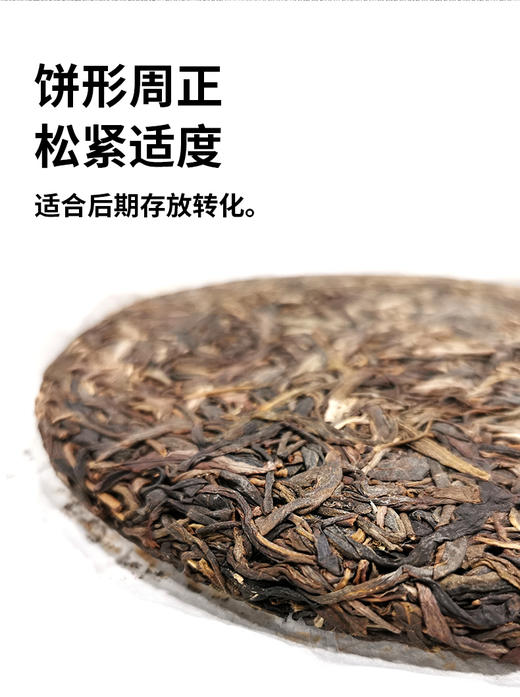 冰糖攸乐乔木 2019年春 357克生普饼茶 转化优秀 冰糖韵已显 甜韵持久 回甘生津 汤厚水滑 商品图2