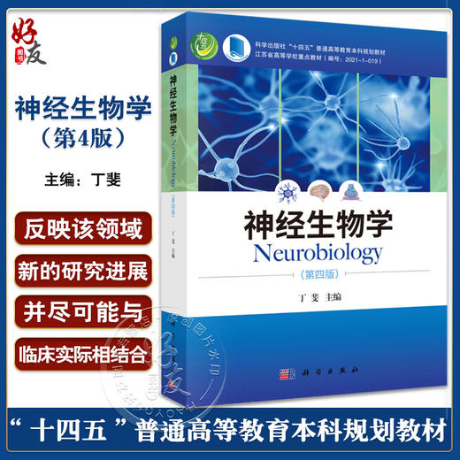 神经生物学 第4四版 丁斐 主编 神经元与神经胶质细胞 神经发育生物学基础 神经化学和神经药理学基础 科学出版社9787030708960 商品图0