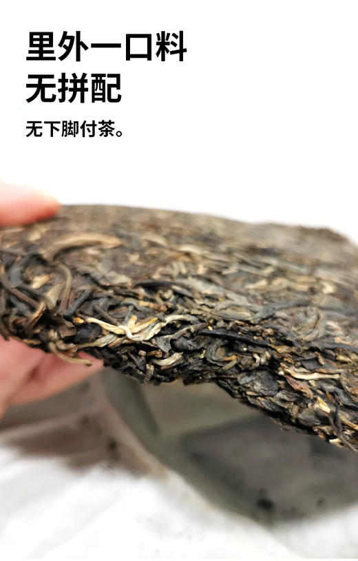 冰糖攸乐乔木 2019年春 357克生普饼茶 转化优秀 冰糖韵已显 甜韵持久 回甘生津 汤厚水滑 商品图3