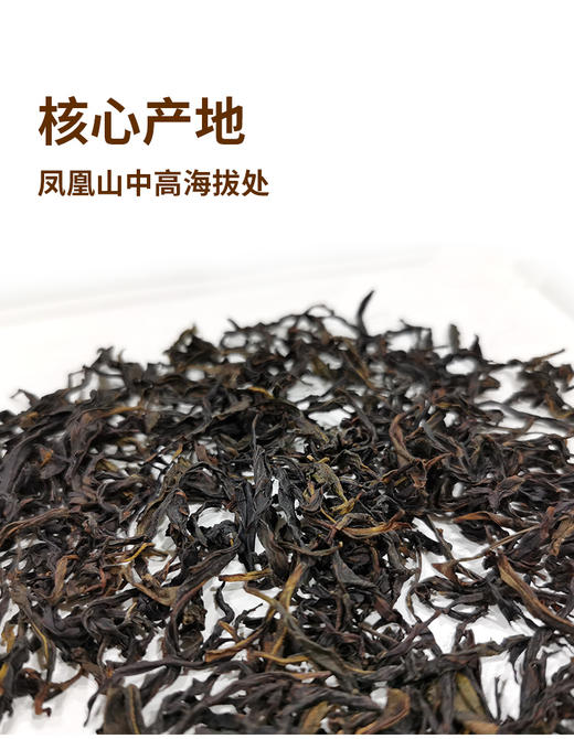 凤凰单枞蜜兰香AAA 6克*12泡 广东凤凰高山 商品图1