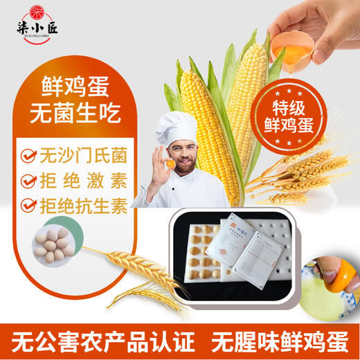 【加赠-产地直发 】真土鸡蛋——安徽大别山金寨散养土鸡蛋、金寨青脚麻鸡（小公鸡）、金寨青脚麻鸡（老母鸡），高山纯谷物真散养 无农残、无兽残、无沙门氏菌，达到可生食标准。 商品图2