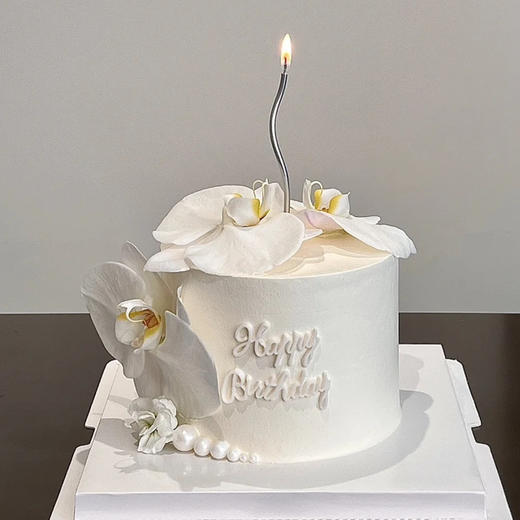 蝴蝶兰 商品图0