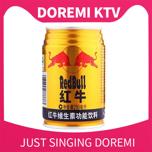 滨文店红牛 商品图0