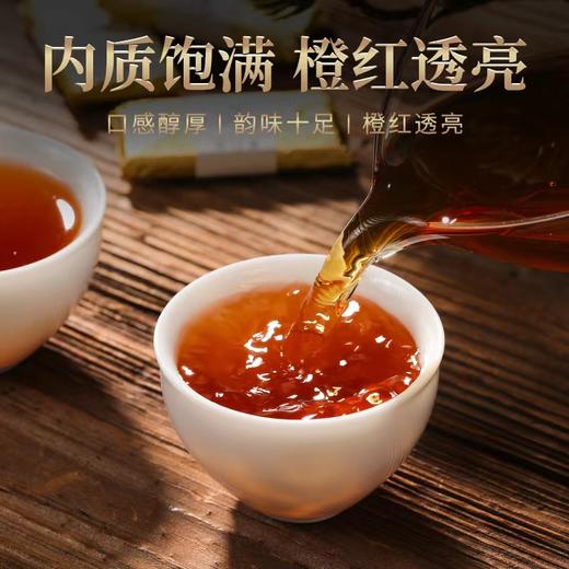 自营（雾源）-09年大红袍 旺旺小金砖 9片旅行装 商品图4