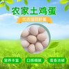 【加赠-产地直发 】真土鸡蛋——安徽大别山金寨散养土鸡蛋、金寨青脚麻鸡（小公鸡）、金寨青脚麻鸡（老母鸡），高山纯谷物真散养 无农残、无兽残、无沙门氏菌，达到可生食标准。 商品缩略图1