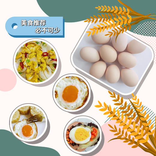 【加赠-产地直发 】真土鸡蛋——安徽大别山金寨散养土鸡蛋、金寨青脚麻鸡（小公鸡）、金寨青脚麻鸡（老母鸡），高山纯谷物真散养 无农残、无兽残、无沙门氏菌，达到可生食标准。 商品图4