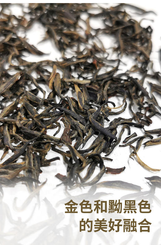 金骏眉AAAAA 50克 商品图2