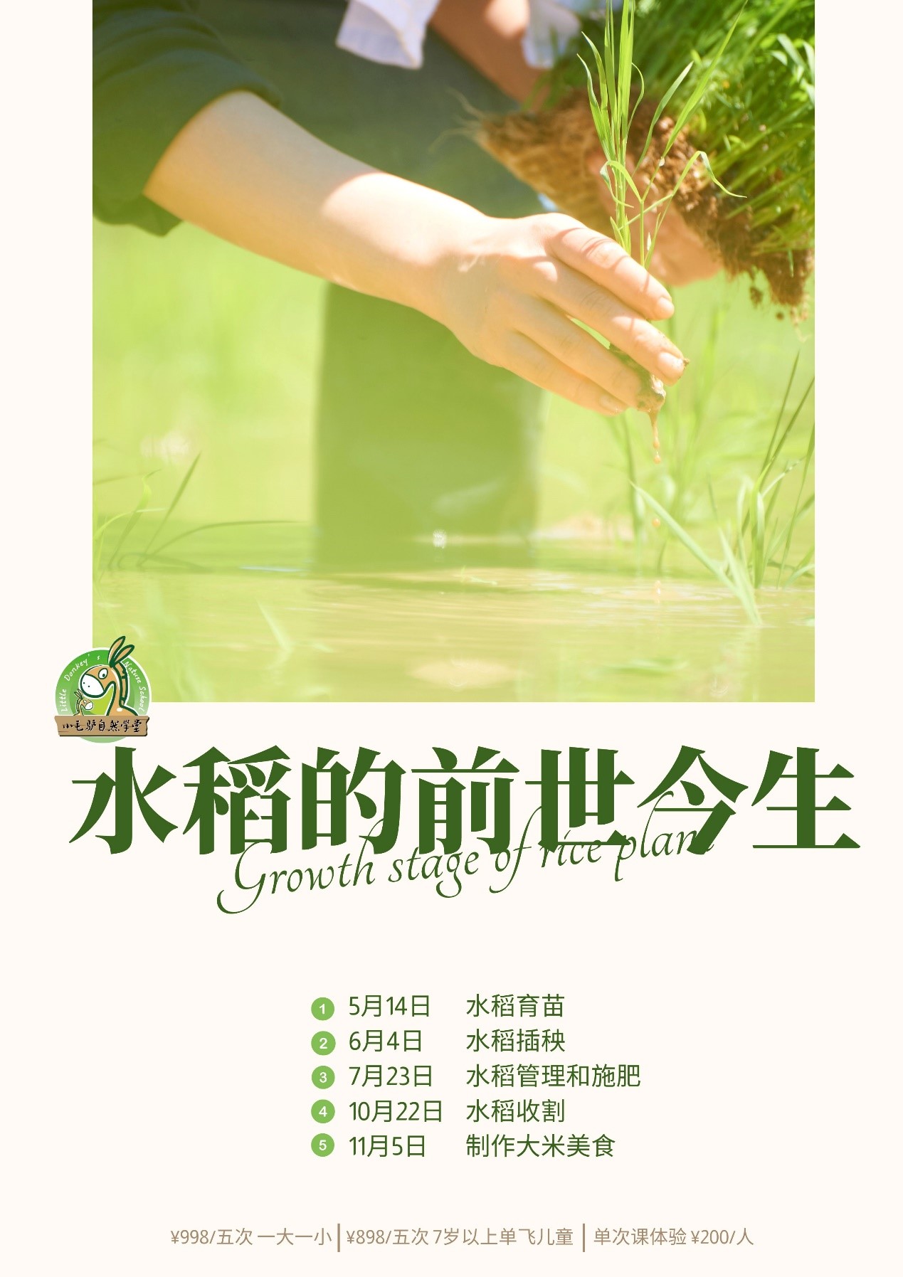 水稻系列营