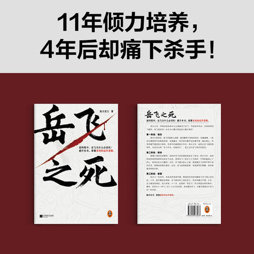 岳飞之死 (读客正版图书）运作逻辑高天流云宋史满江红 商品图2