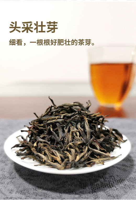 金骏眉AAAAA 50克 商品图3